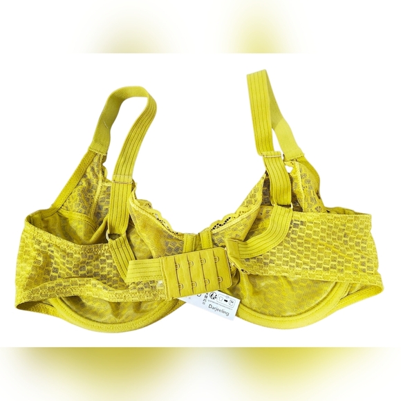 NWT Darjeeling Paris Vibrant Lime yellow green Lace Bra, Size FR 95D (US 36D) – - Picture 8 of 10